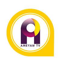 Ameyaw Debrah Media